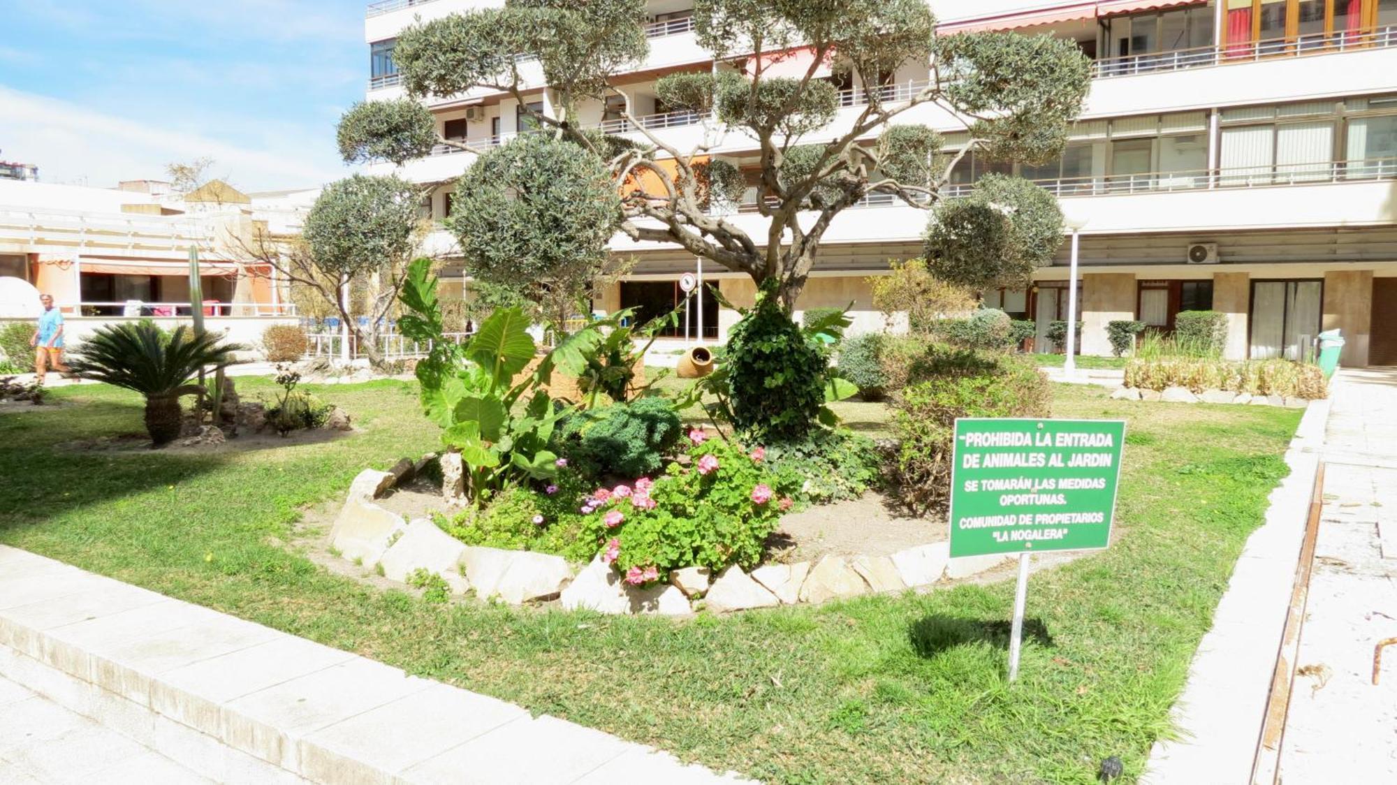 Nogalera Sun&fun Select Appartement *